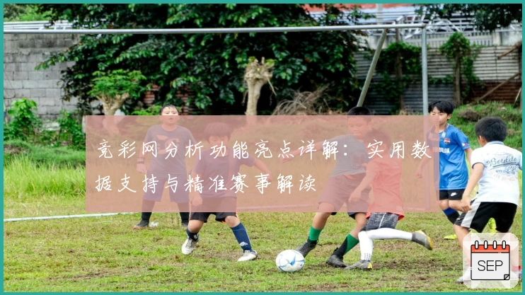 竞彩网分析功能亮点详解：实用数据支持与精准赛事解读