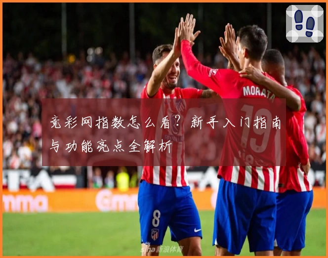 竞彩网指数怎么看?新手入门指南与功能亮点全解析