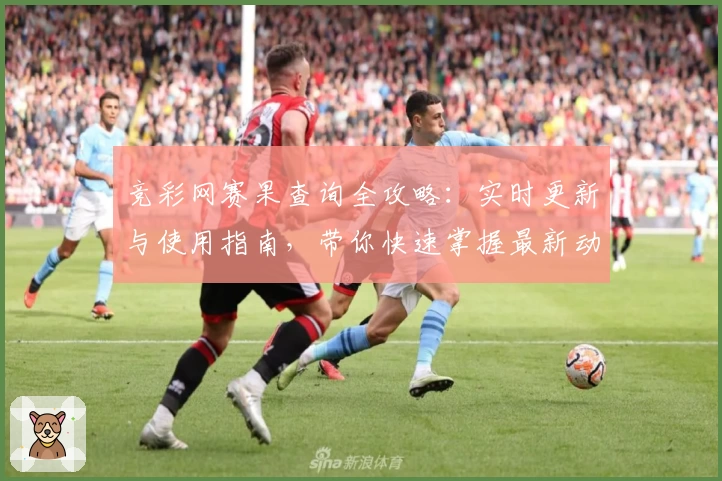 竞彩网赛果查询全攻略：实时更新与使用指南，带你快速掌握最新动态
