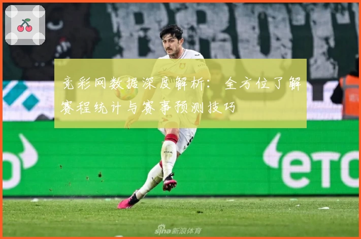竞彩网数据深度解析：全方位了解赛程统计与赛事预测技巧